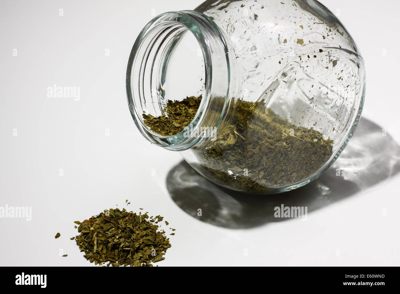 Coriander leaves in a jar Stock Photo Alamy