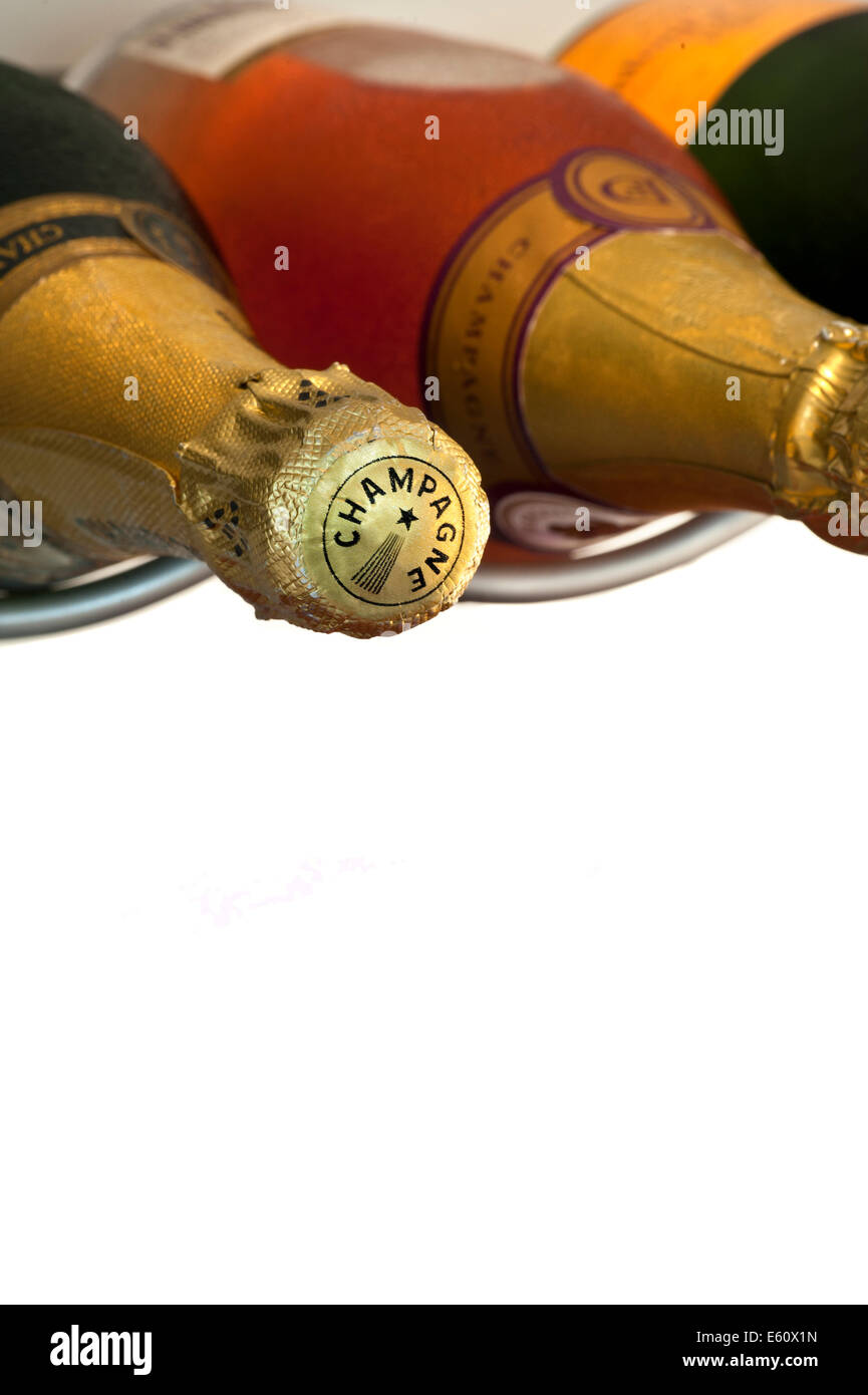 Champagne bottles in wine chiller cabinet with caption white space Stock Photo