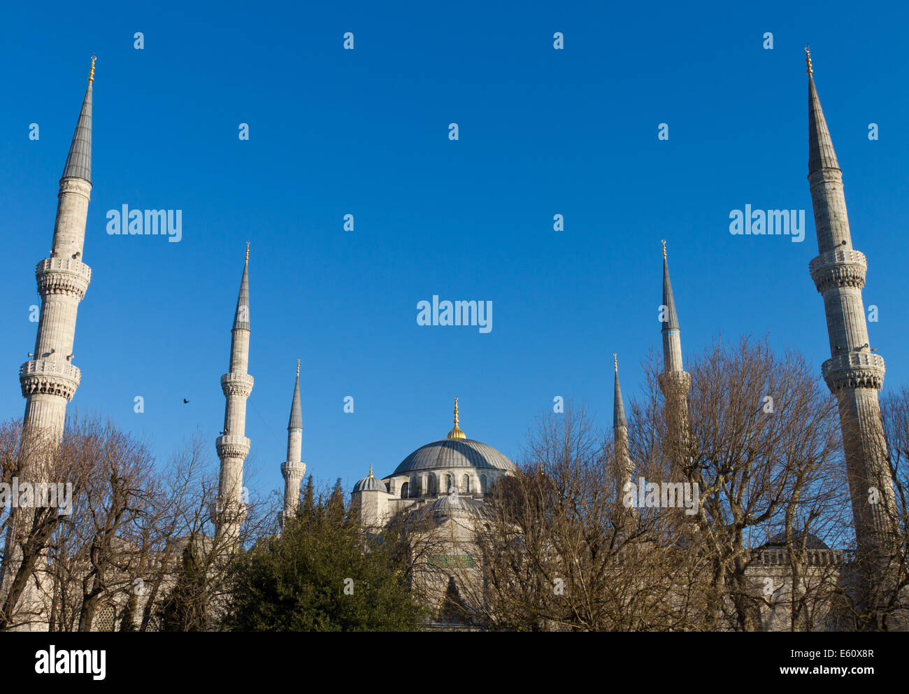 Sultanahmet Blue Mosque from Istanbul Stock Photo - Alamy