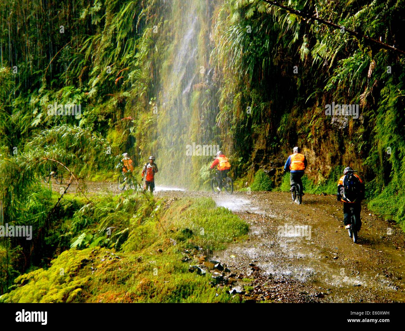 A tour group mountain biking along on the World's most dangerous road, between La Paz and Coroico, Bolivia Stock Photo