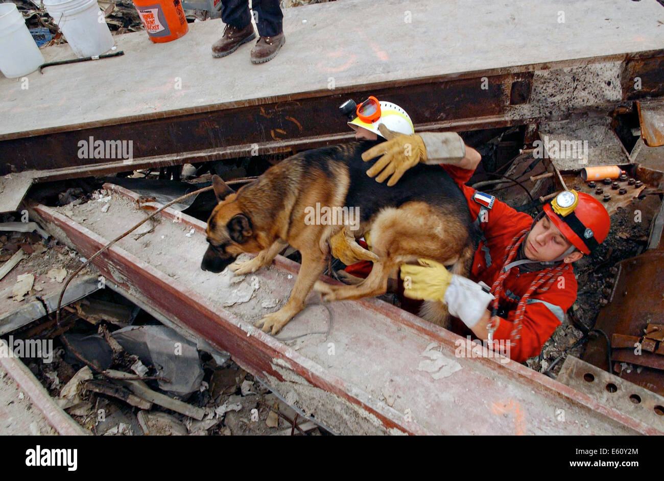 Rescue workers and sniffer dog emerge from the pile of rubble amongst the wreckage of the World Trade Center in the aftermath of a massive terrorist attack which destroyed the twin towers killing 2,606 people September 20, 2001 in New York, NY. Stock Photo