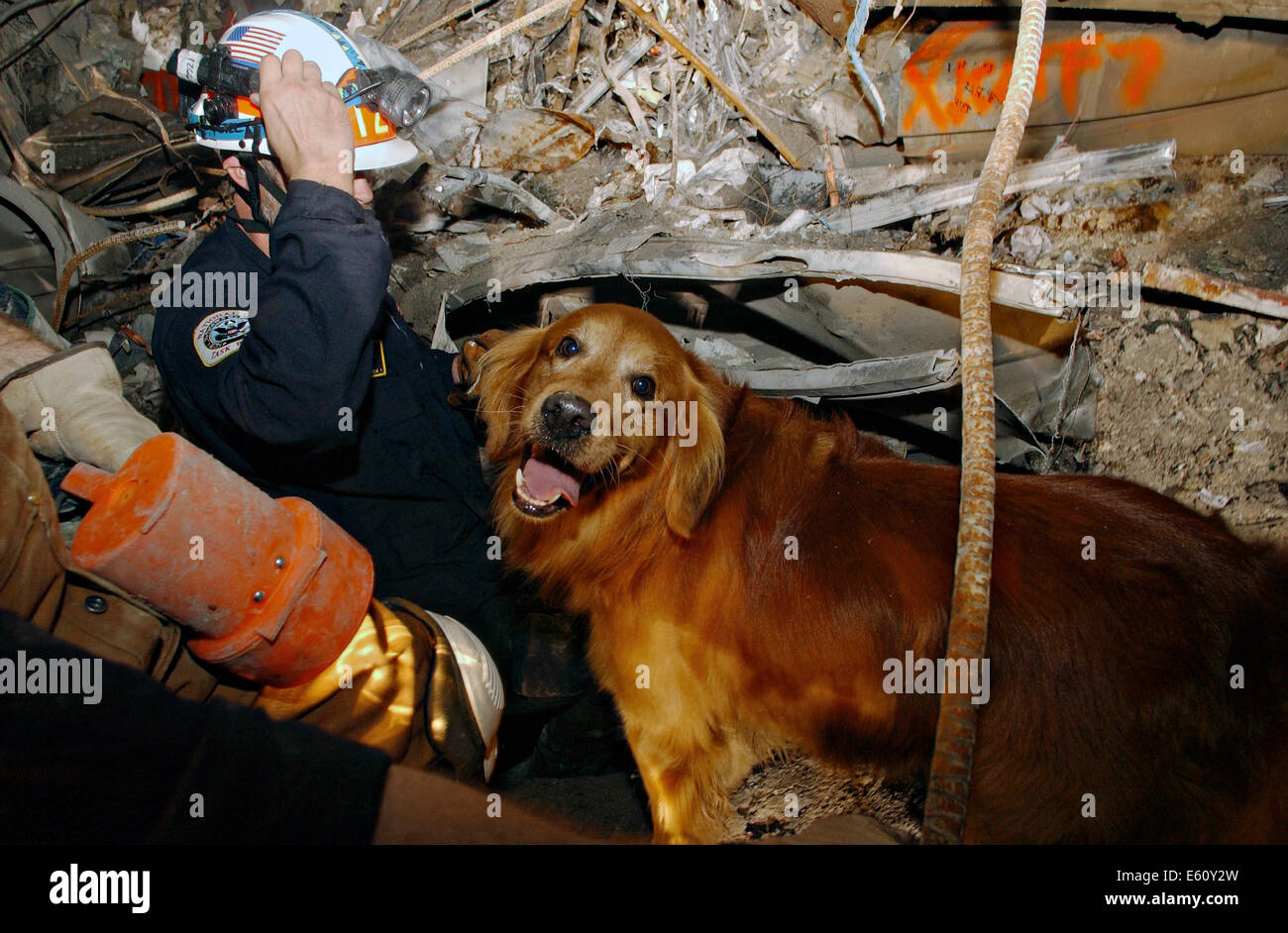Kent Olson and his dog, Thunder search through the rubble for victims amongst the wreckage of the World Trade Center in the aftermath of a massive terrorist attack which destroyed the twin towers killing 2,606 people September 21, 2001 in New York, NY. Stock Photo