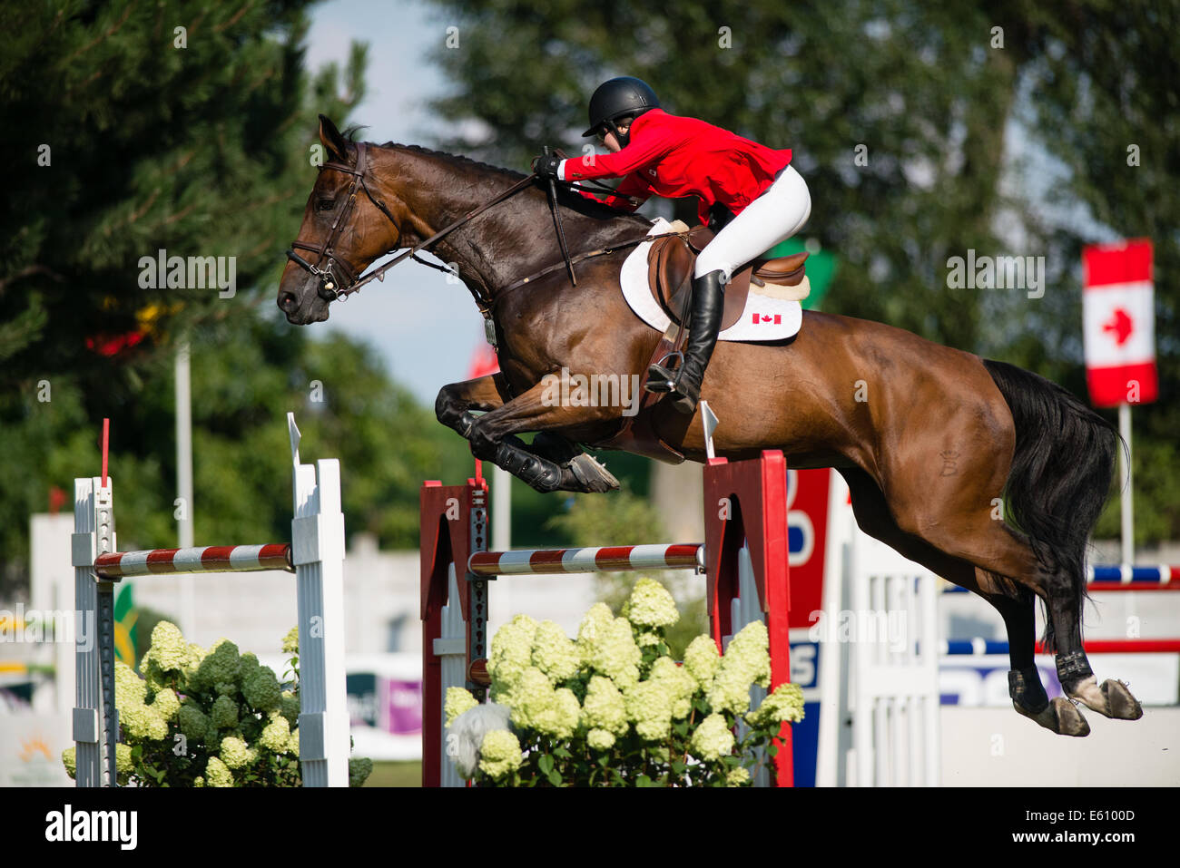 Horse over jump hi-res stock photography and images - Page 11 - Alamy