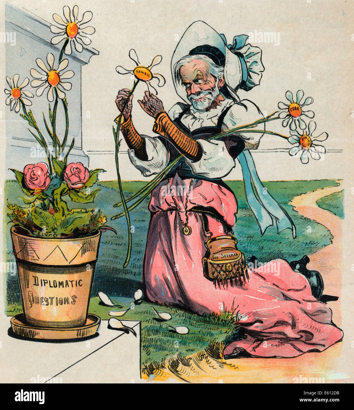 Settling affairs of state - Summary: Print shows John Sherman, Secretary of State, dressed as an old woman with a purse labeled 'Secretary Sherman', plucking the petals off daisies labeled 'Hawaii, Cuba, and Bering Sea' picked from a flowerpot labeled 'Diplomatic Questions'. Political cartoon, circa 1897 Stock Photo