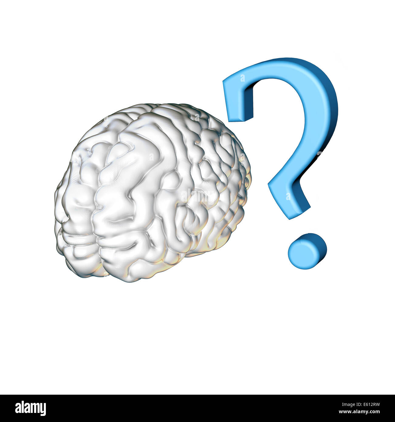 Brain questions