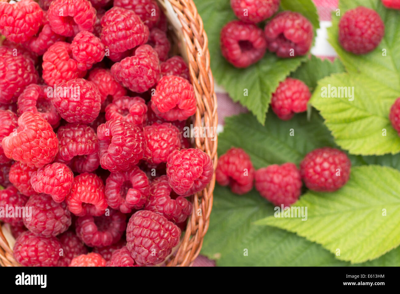 Organic Raspberries Sweets Sweet Organic Raspberries in a Wicker Basket Stock Photo - Alamy