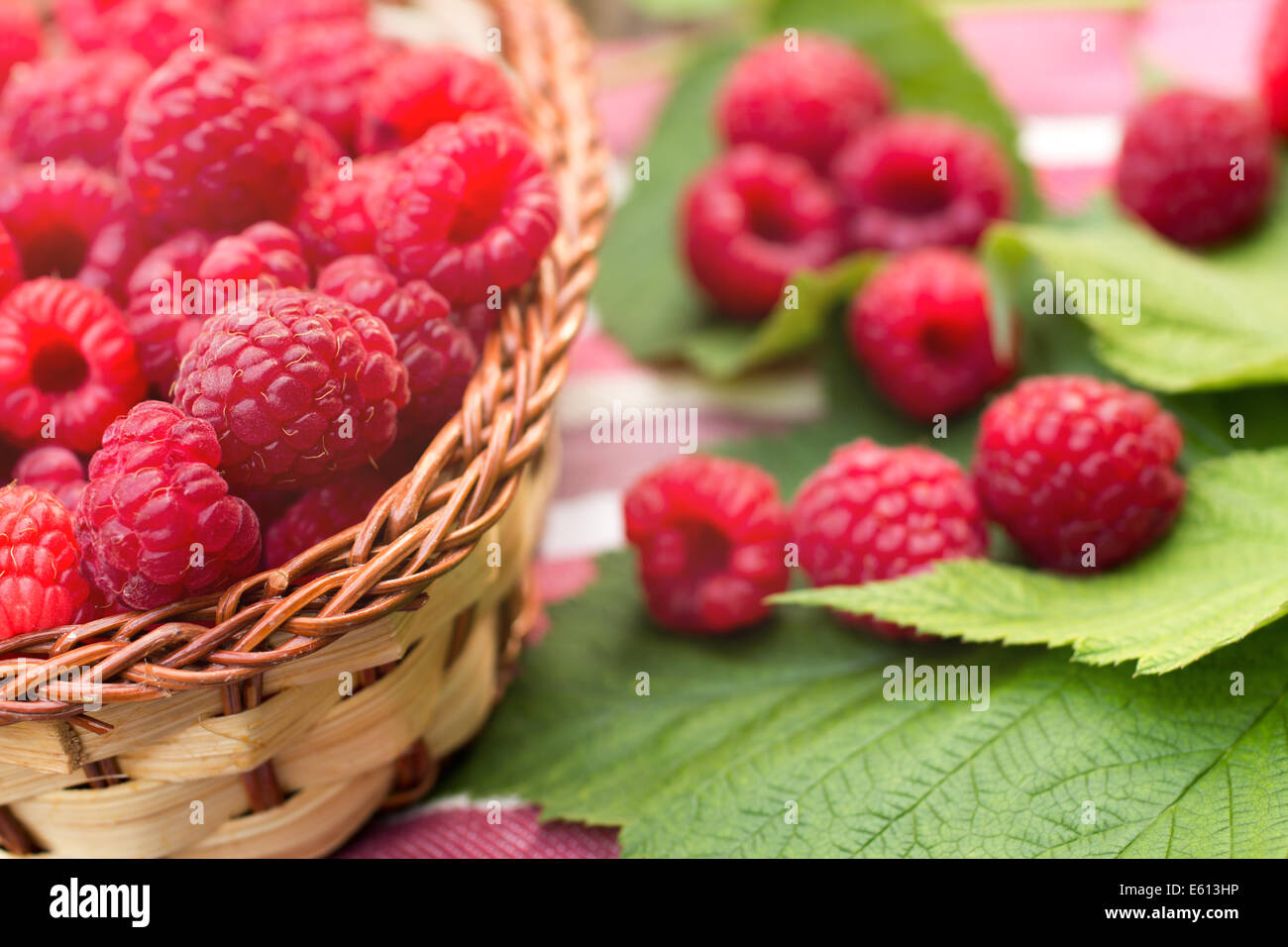 Organic Raspberries Sweets Sweet Organic Raspberries in a Wicker Basket Stock Photo - Alamy