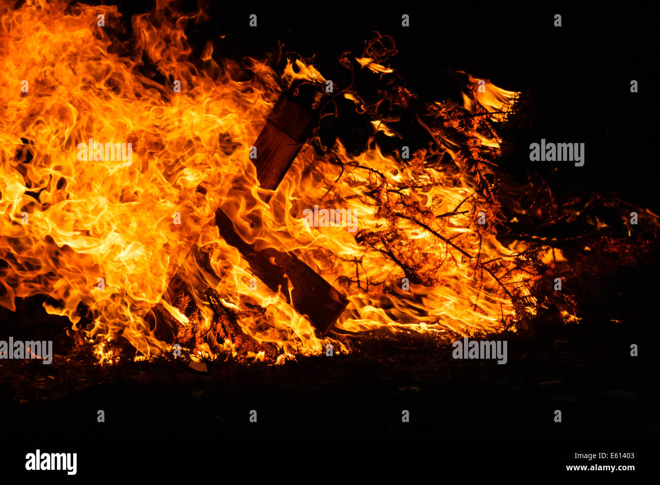 Disposed christmas tree on fire Stock Photo