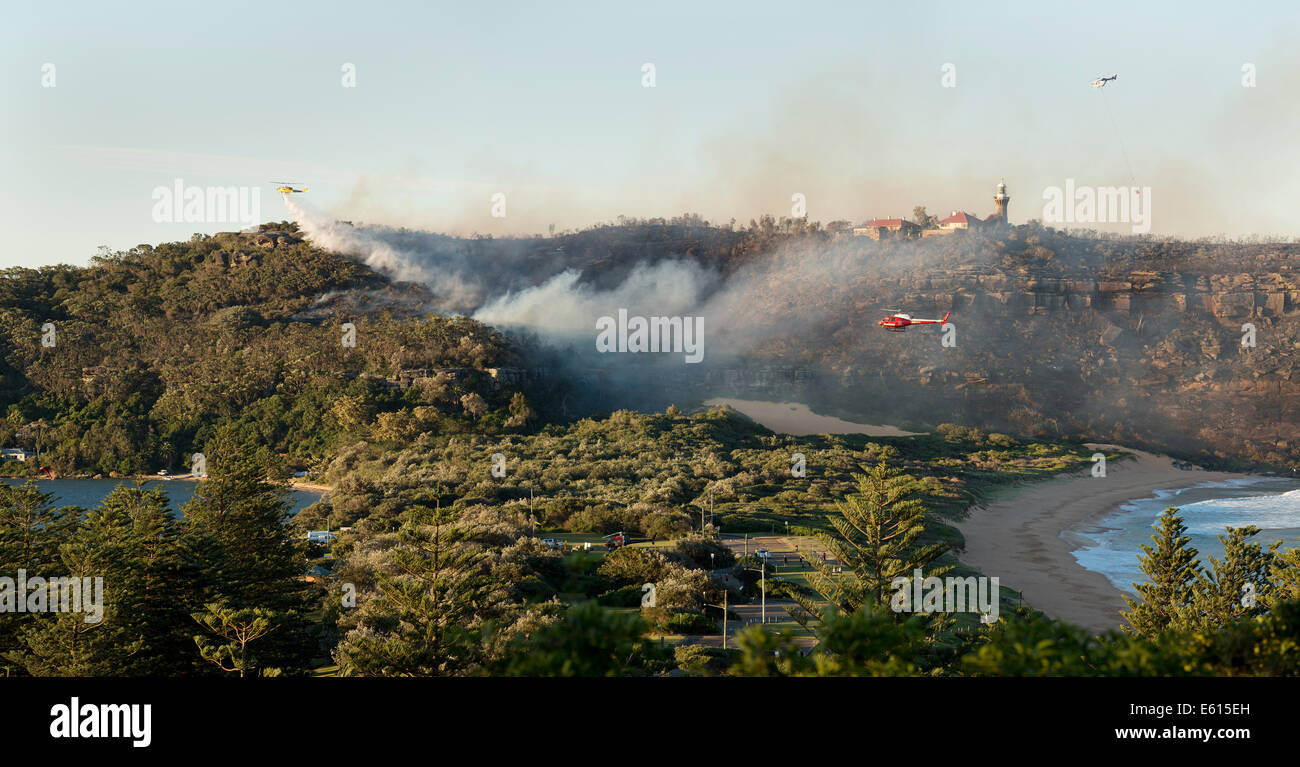 Helicopters water-bomb an out of control bush fire on Barrenjoey Headland Palm Beach New South Wales Australia 28/09/2013 Stock Photo