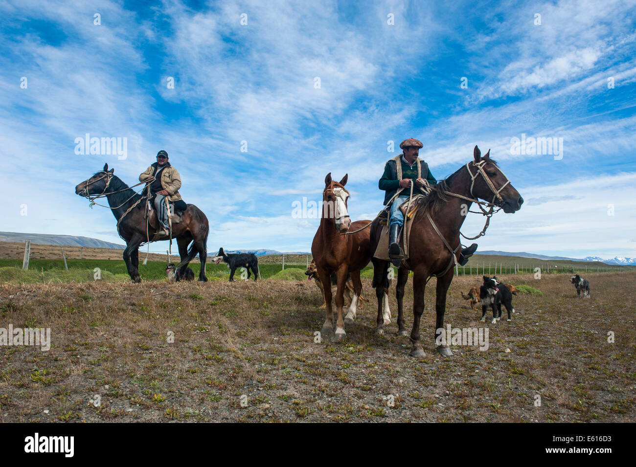 Gauchos riding in the Torres del Paine National Park, Patagonia, Chile Stock Photo