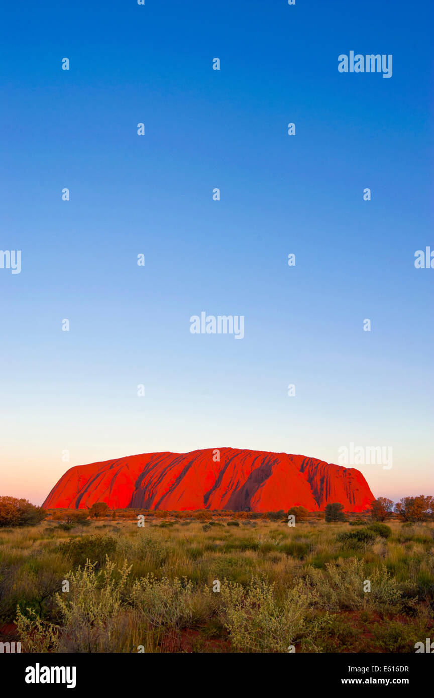 Uluru, Ayers Rock, in the late afternoon, Northern Territories, Australia Stock Photo