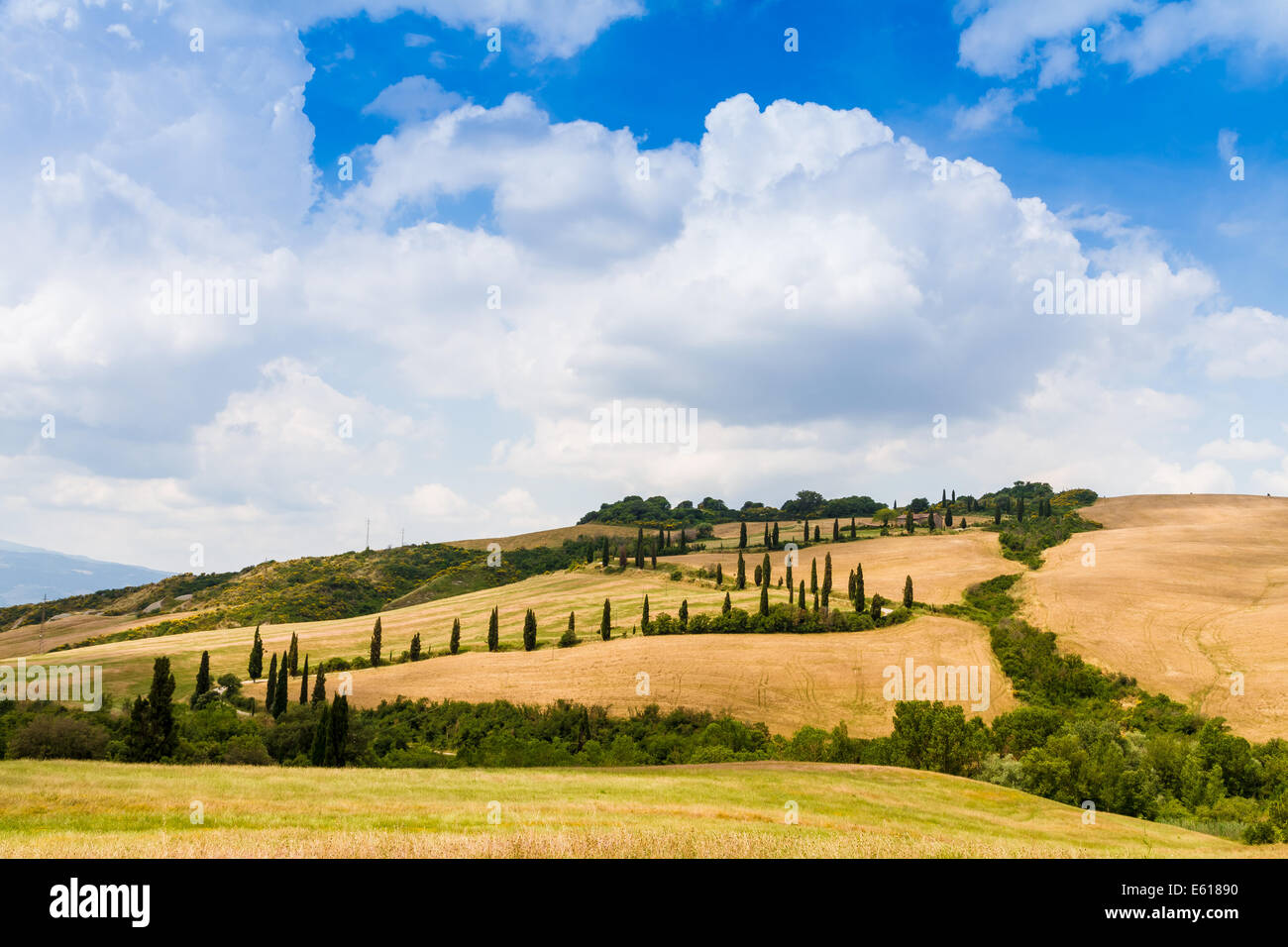 winding road flanked with cypresses under a cloudy summer sky in crete senesi near Siena in Tuscany, Italy Stock Photo