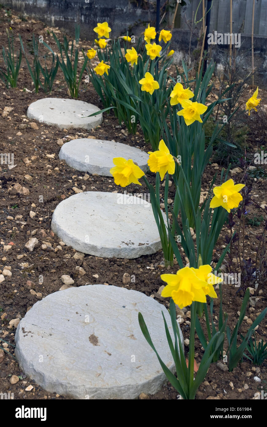 Stepping Stones Garden Uk High Resolution Stock Photography and Images