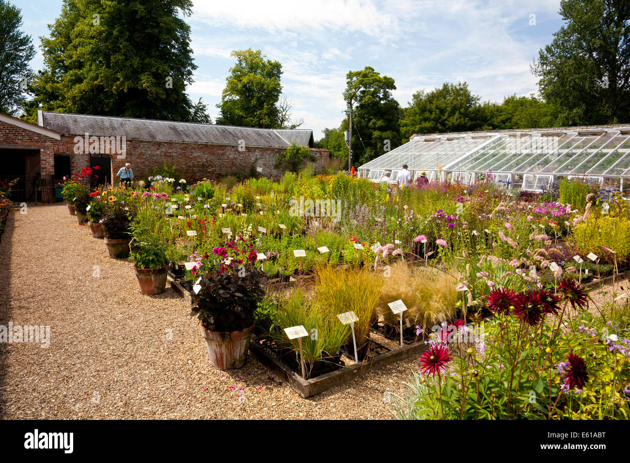 Garden nursery sales england uk hires stock photography and images Alamy