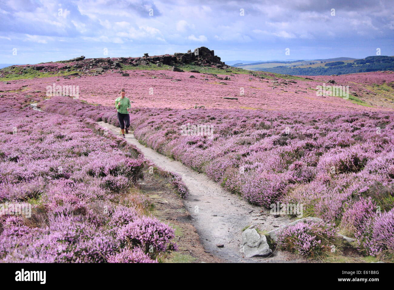 Mauve moorland hires stock photography and images Alamy
