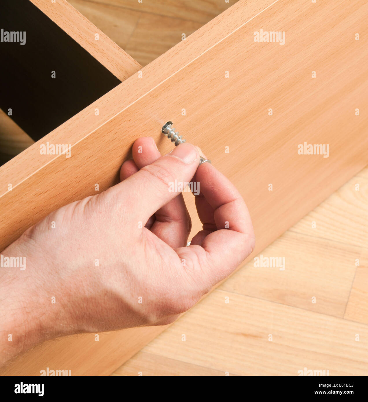 Carpenter mounting wooden furniture Stock Photo Alamy