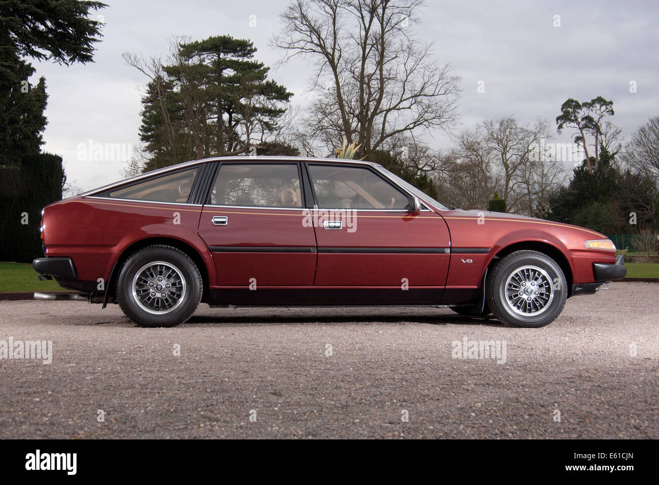1981 Rover SD1 Vanden Plas V8 powered luxury car with sports car performance Stock Photo