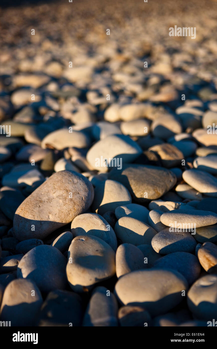 a beach covered in pebbles lit by warm sunlight shot at ground level with the tight focus on foreground pebbles Stock Photo