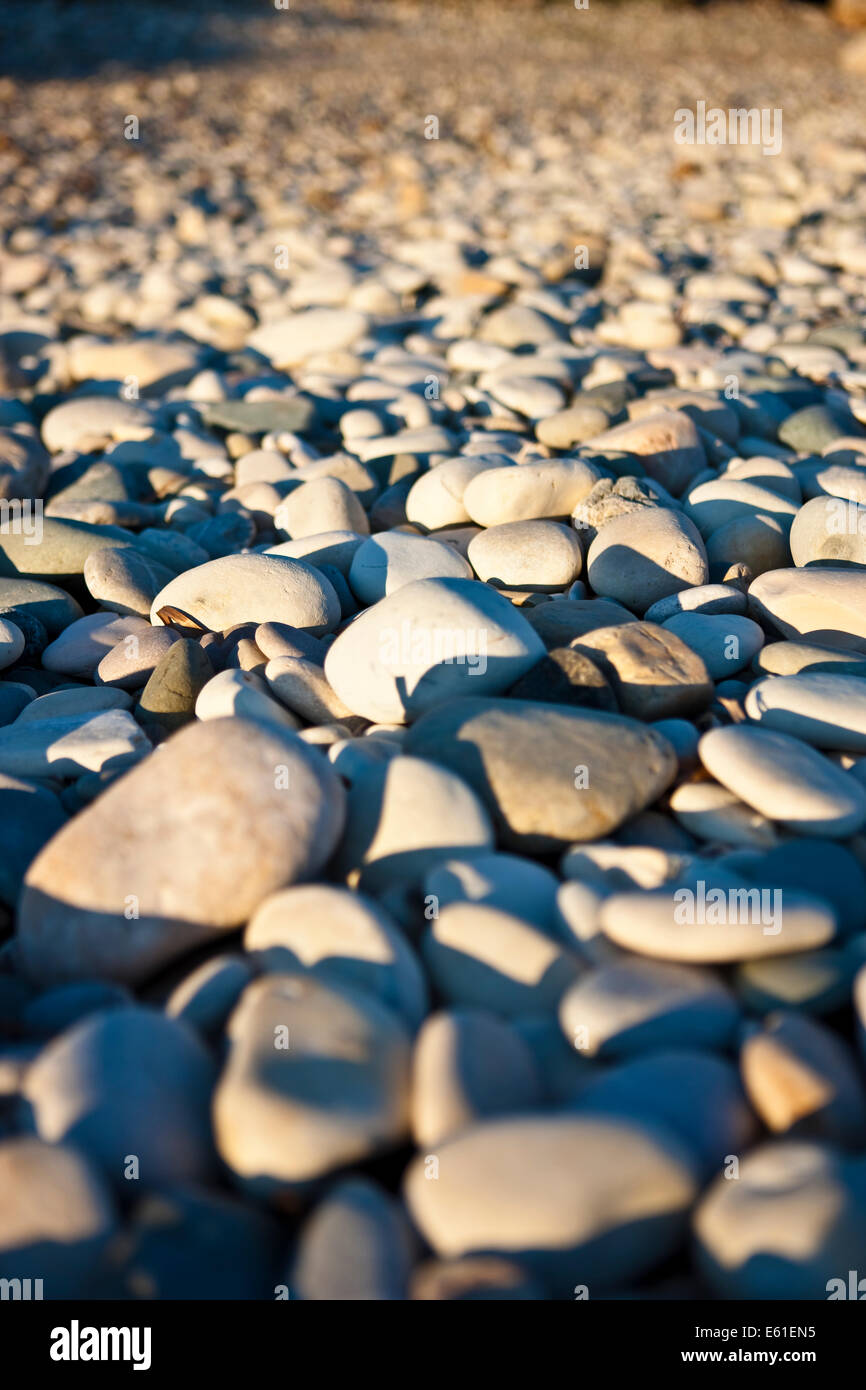 a beach covered in pebbles lit by warm sunlight shot at ground level with the tight focus on foreground pebbles Stock Photo