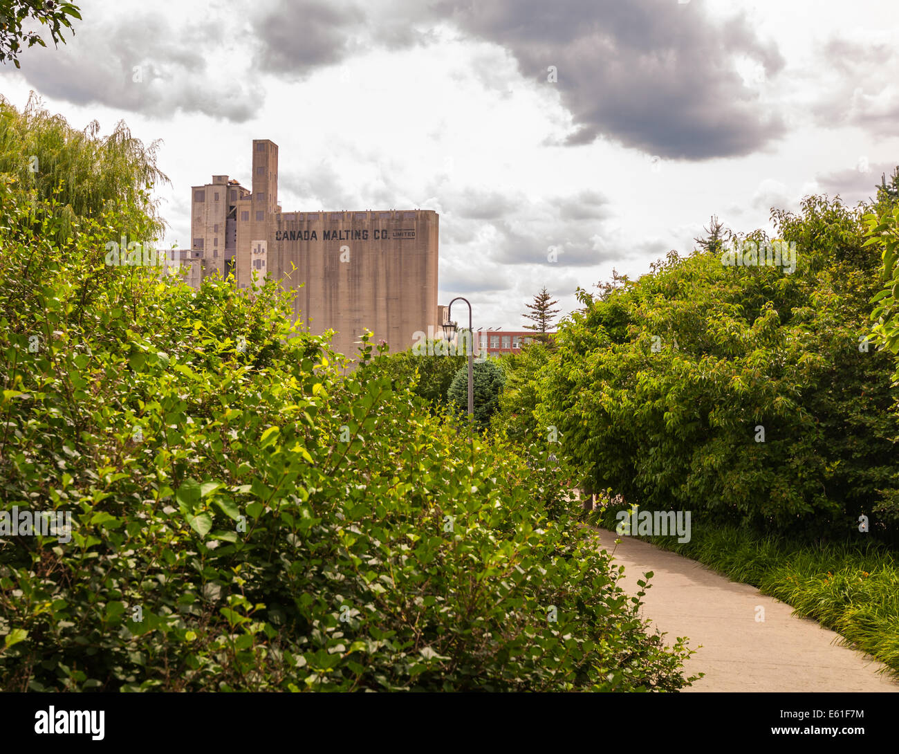 A path leads the eye to the abandon Canada Malting silos. Stock Photo