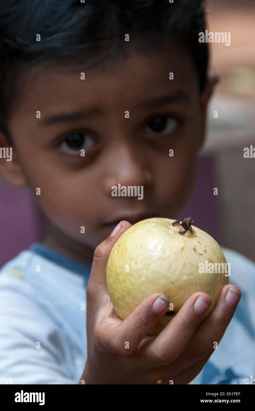 Toddler holding Guava Fruit in hand Stock Photo