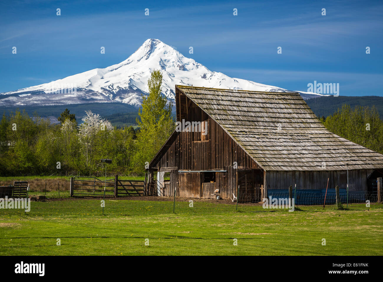 A farm barn with the snowcapped peak of Mt. Hood near Parkdale, Oregon