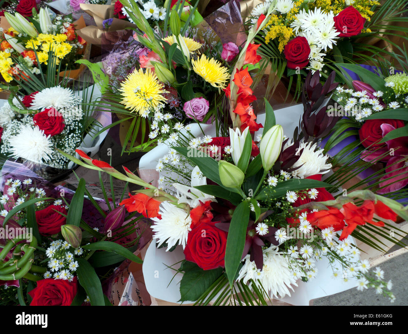 008463 hires stock photography and images Alamy