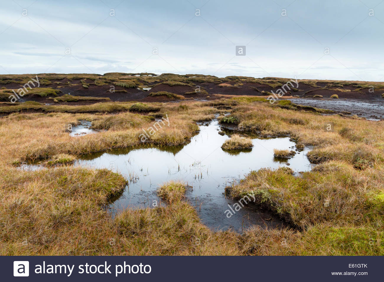 Boggy Land Stock Photos & Boggy Land Stock Images Alamy