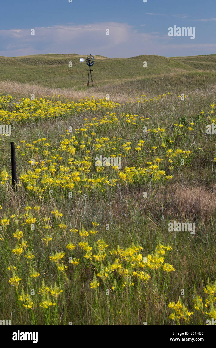 Seneca, Nebraska A windmill in the Nebraska Sandhills. The sandhills