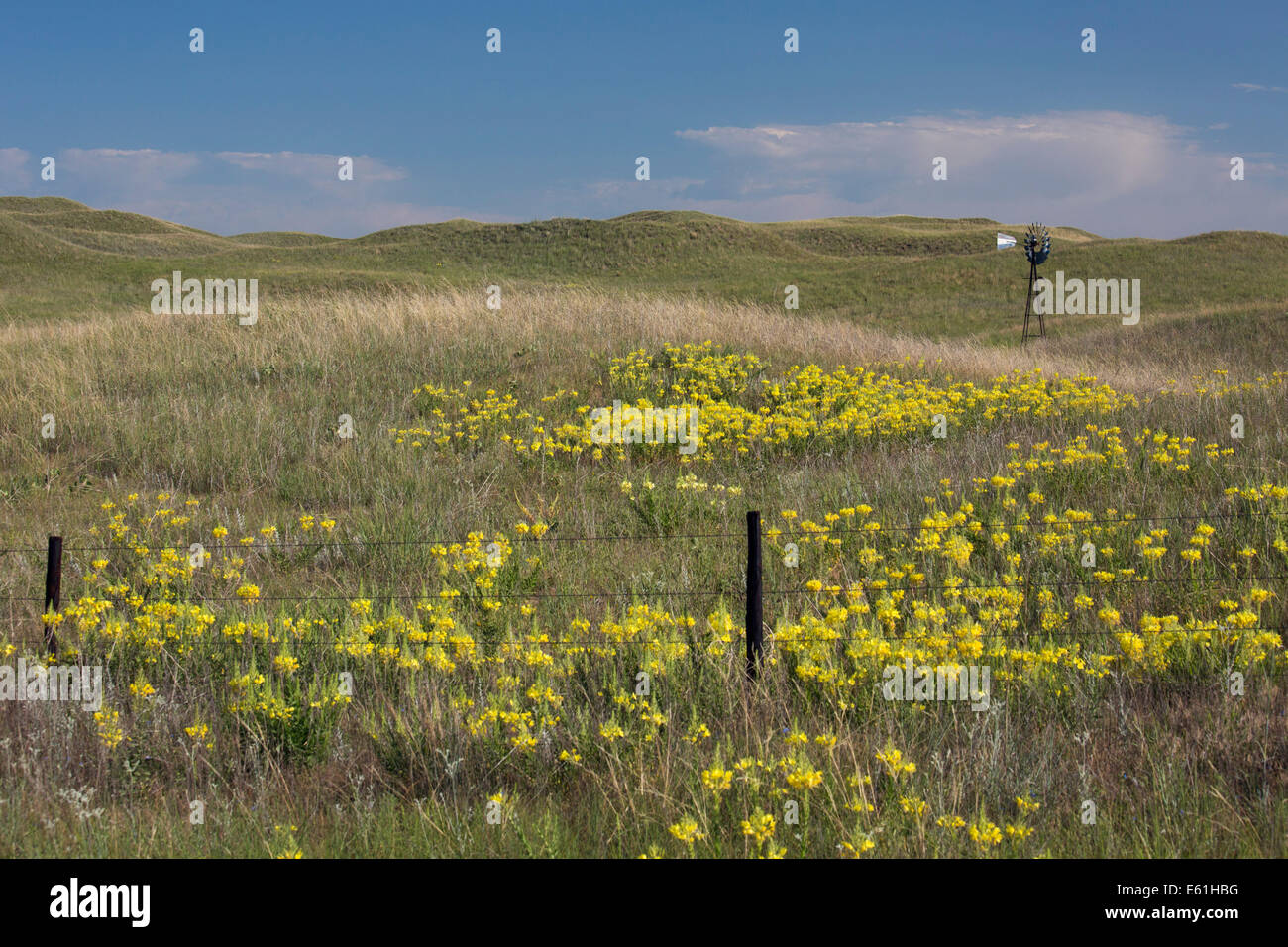 Seneca, Nebraska - A windmill in the Nebraska Sandhills. The sandhills 