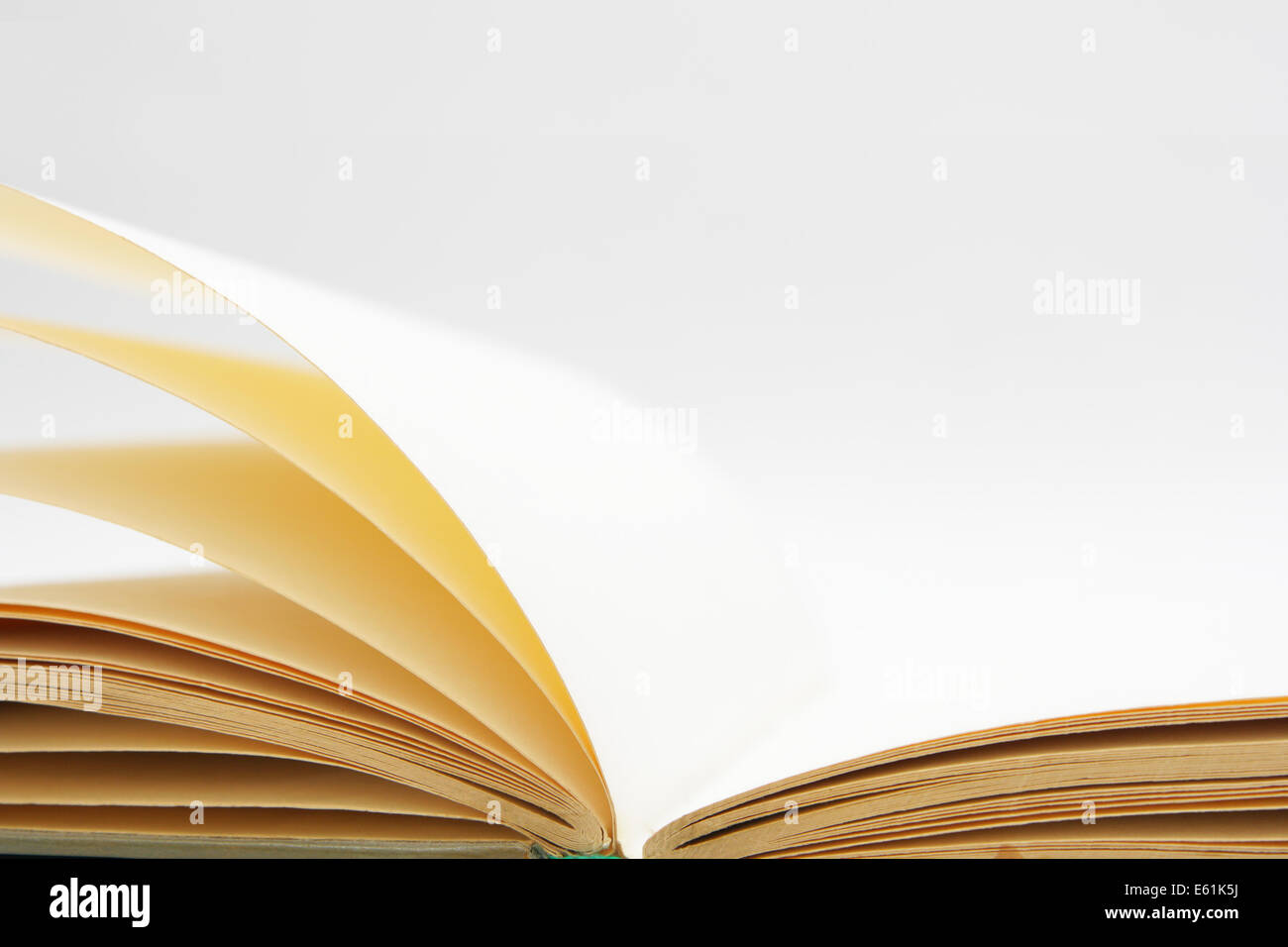 Blank pages of open book close-up Stock Photo