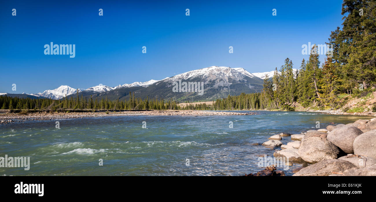 Athabasca River in Jasper, Alberta, Canada, North America. Stock Photo