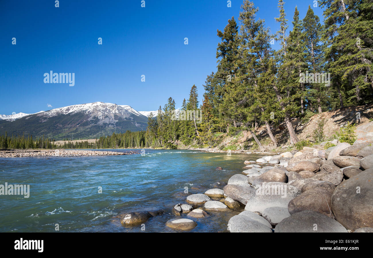 Athabasca River in Jasper, Alberta, Canada, North America. Stock Photo