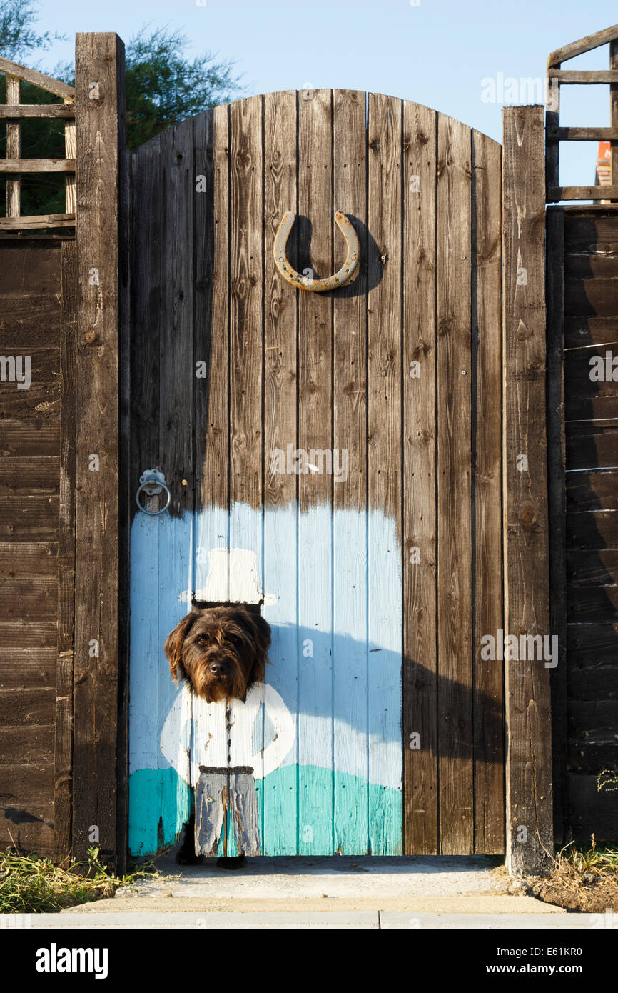 Funny dog with head through garden gate Stock Photo