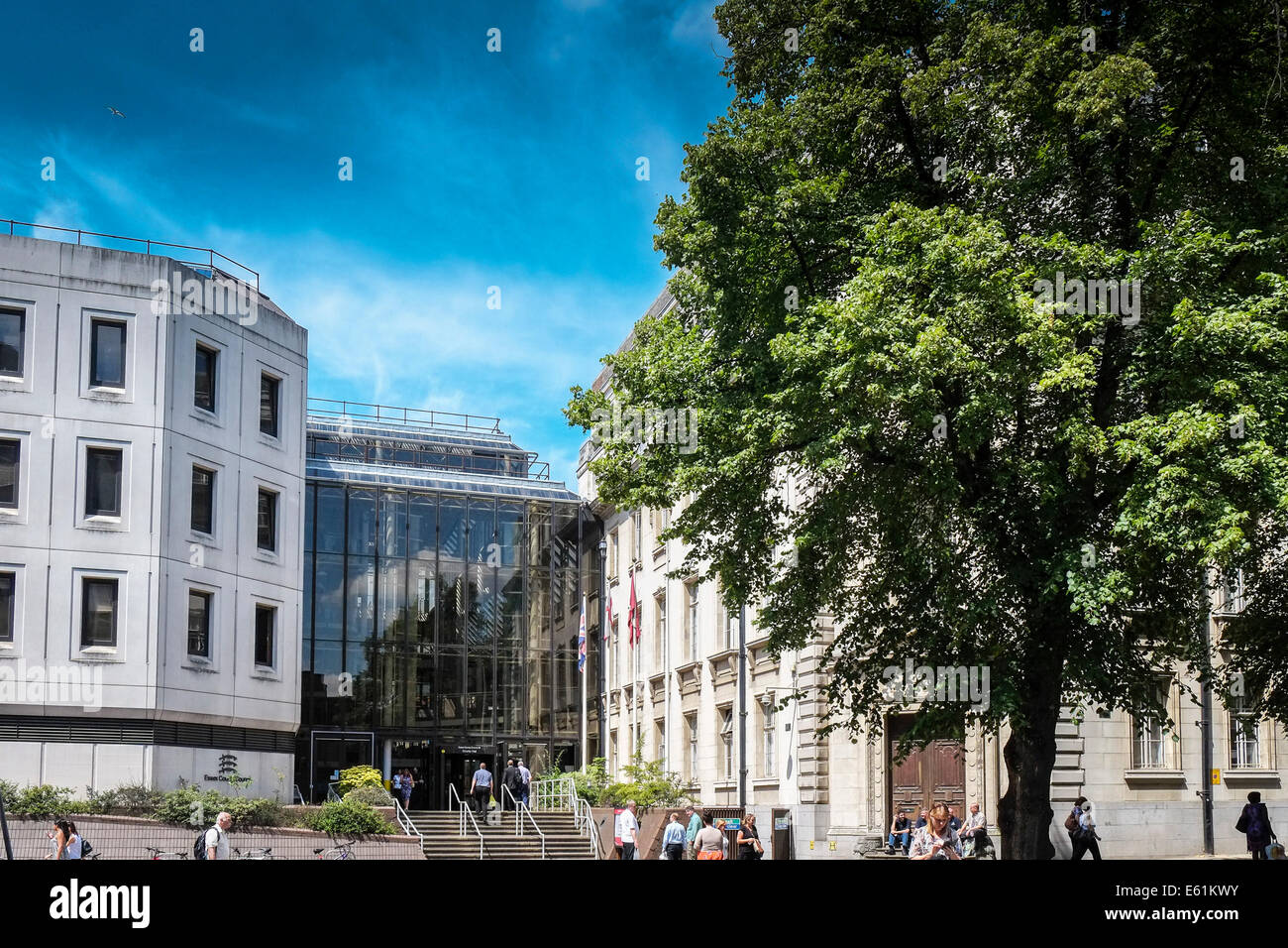 The main entrance to Chelmsford Council offices Stock Photo Alamy
