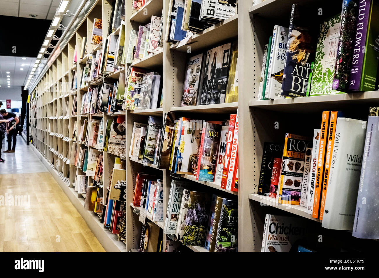 Waterstones interior hi-res stock photography and images - Alamy