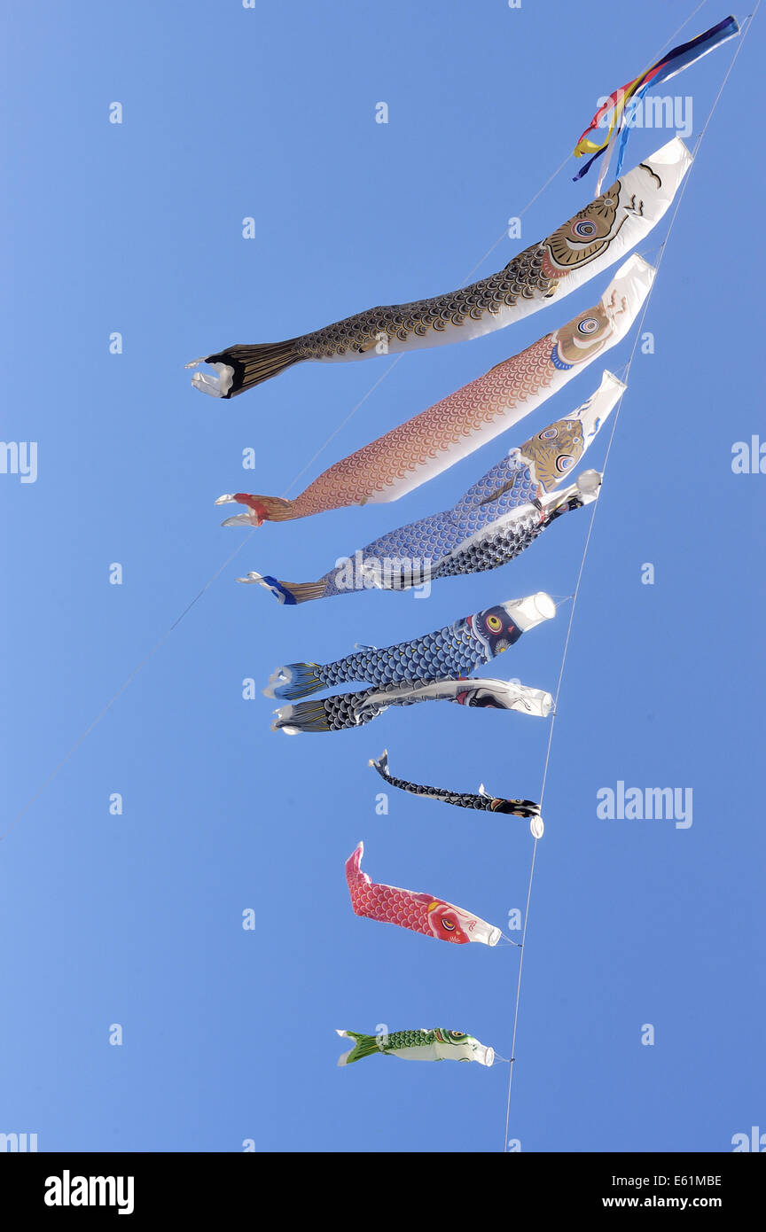 Koi kites hires stock photography and images Alamy