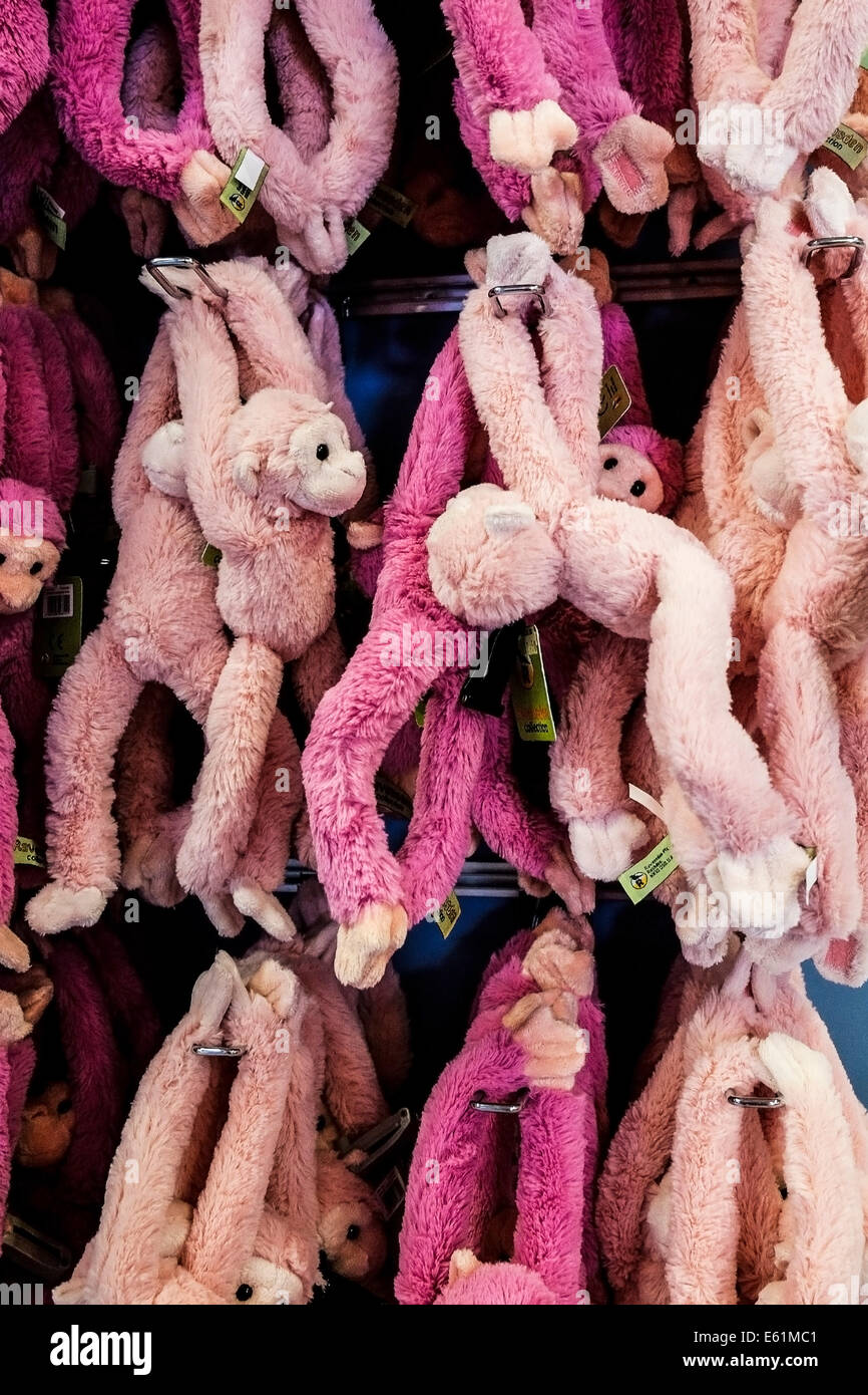 Soft toys on display Stock Photo Alamy