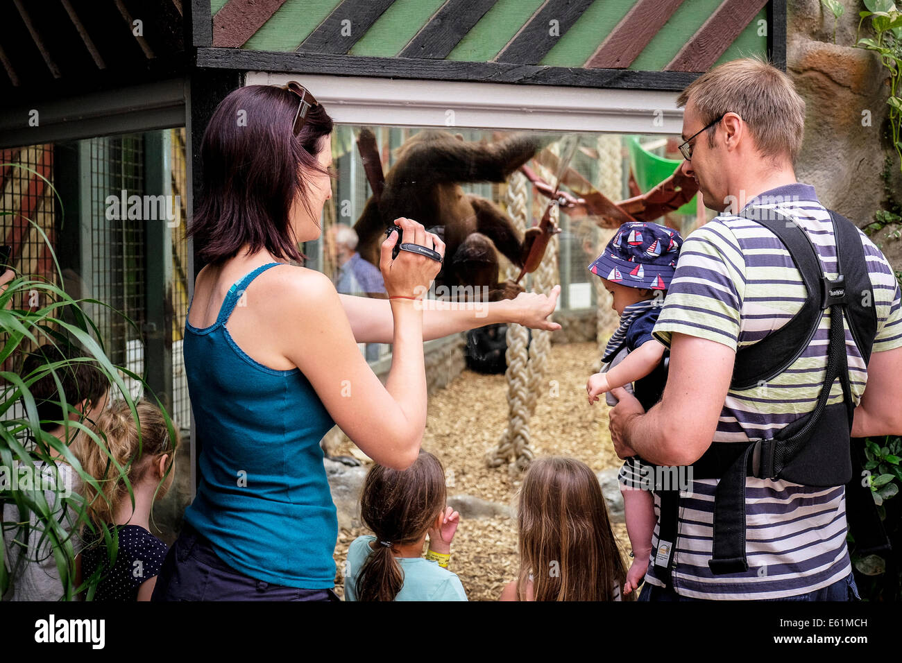 People looking at animals in a zoo. Stock Photo