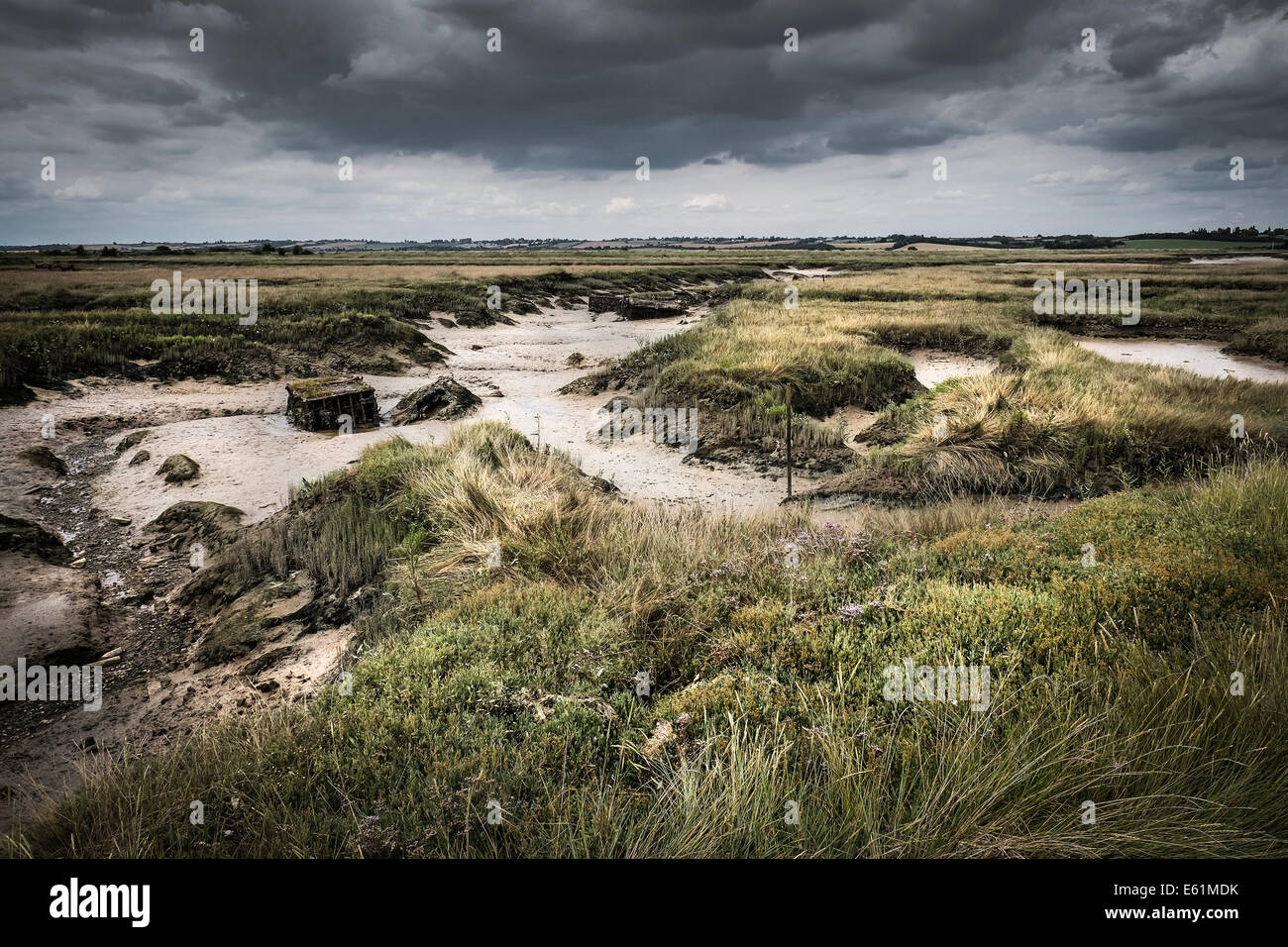 The saltings at Wallasea Island in Essex. Stock Photo