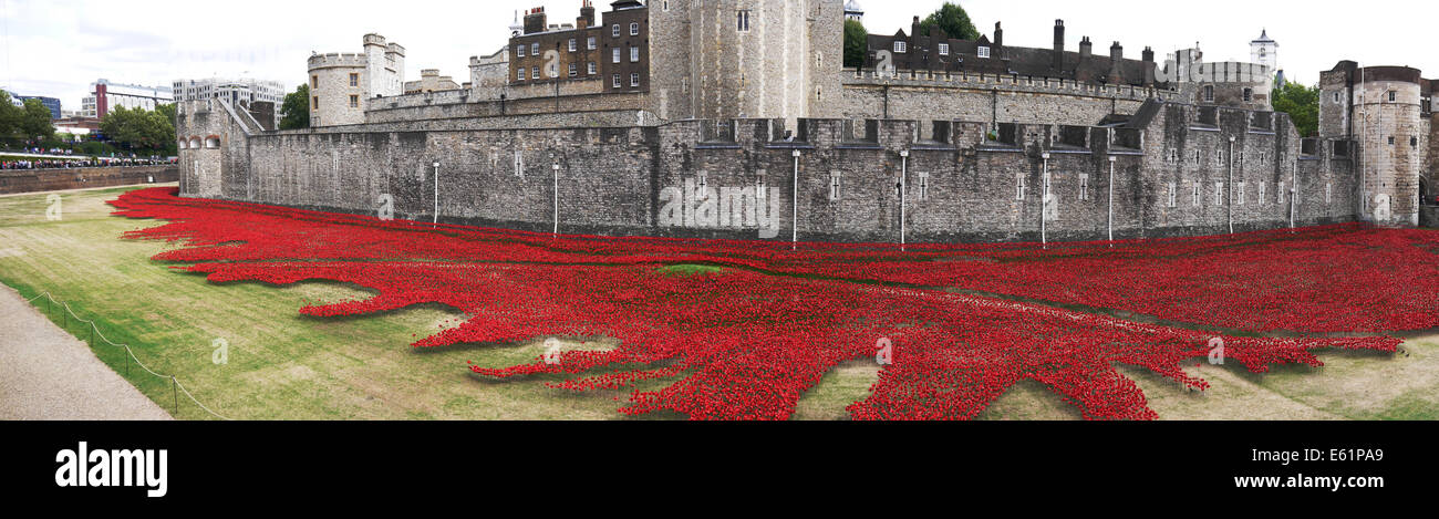 Panorama of ceramic poppies in dry moat at Tower of London Stock Photo