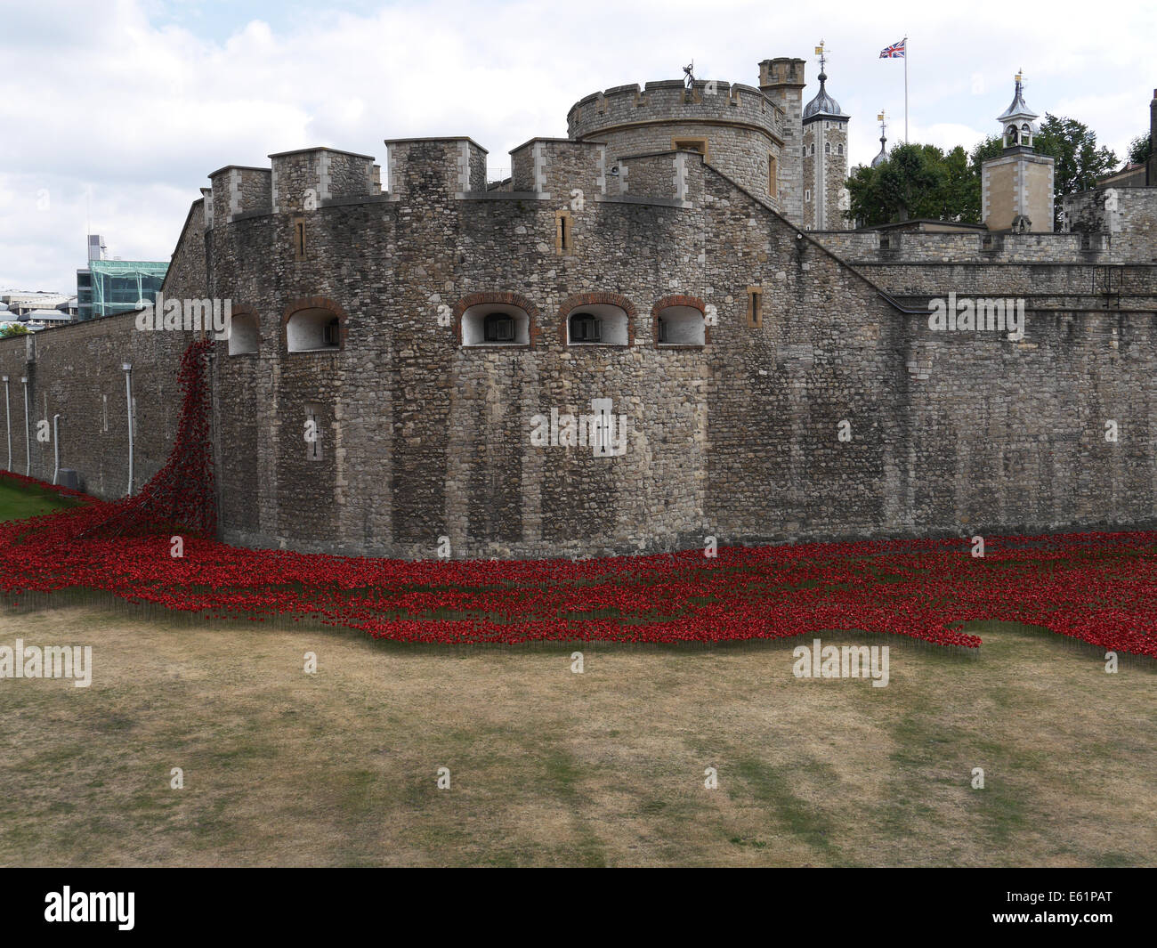Ceramic poppies in dry moat Tower of London Stock Photo