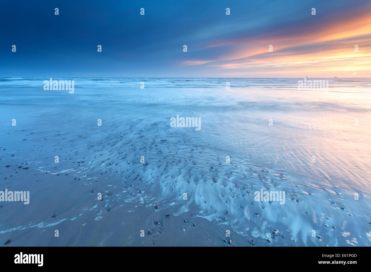 Bildergalerie Bergen aan Zee: A Colorful Journey to the Dutch Coast