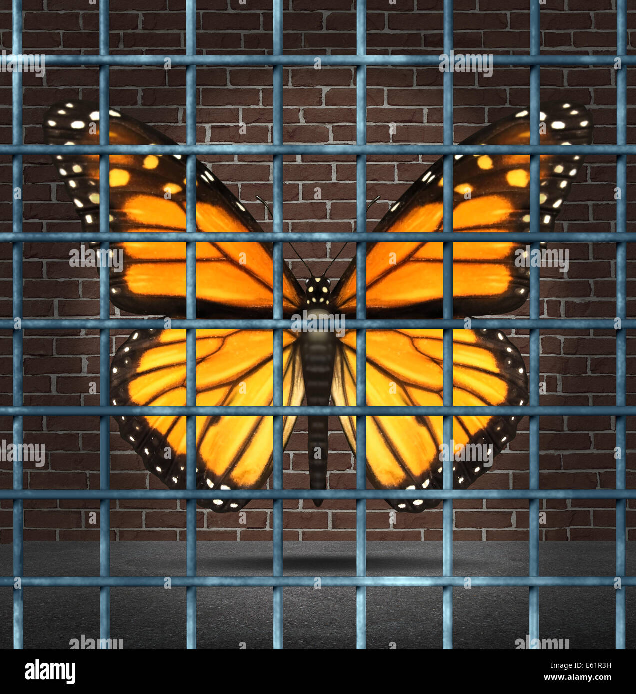 Trapped creativity and creative limitations business concept as a monarch butterfly behind prison bars as a symbol of education Stock Photo