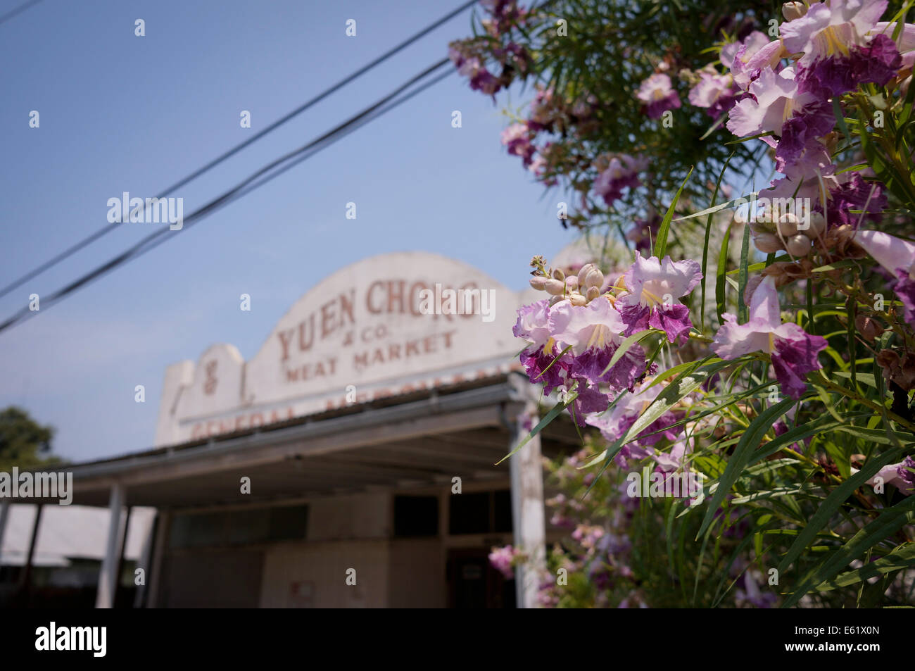 Locke Historic District Stock Photo Alamy