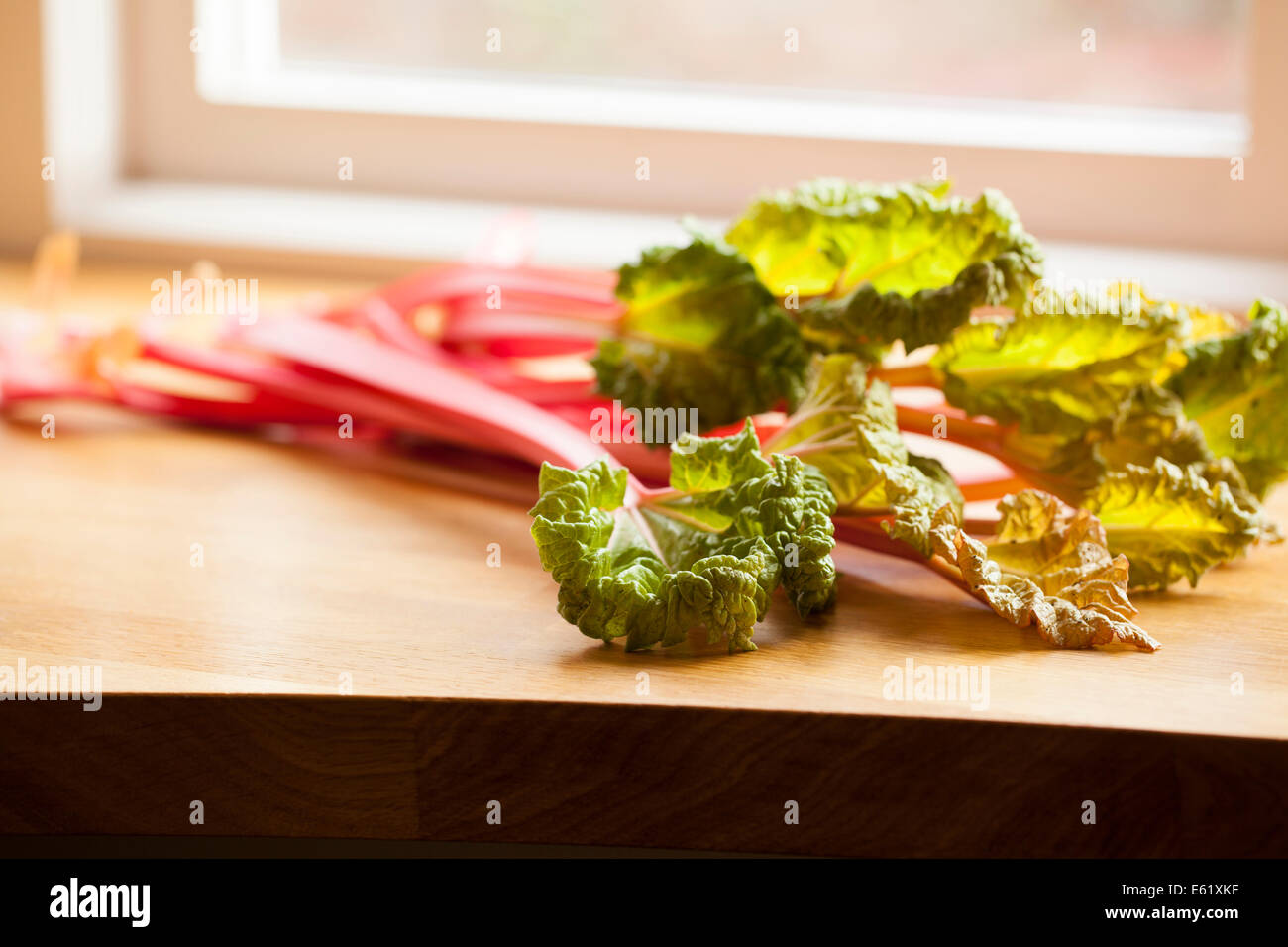 Champagne Rhubarb by Window Stock Photo