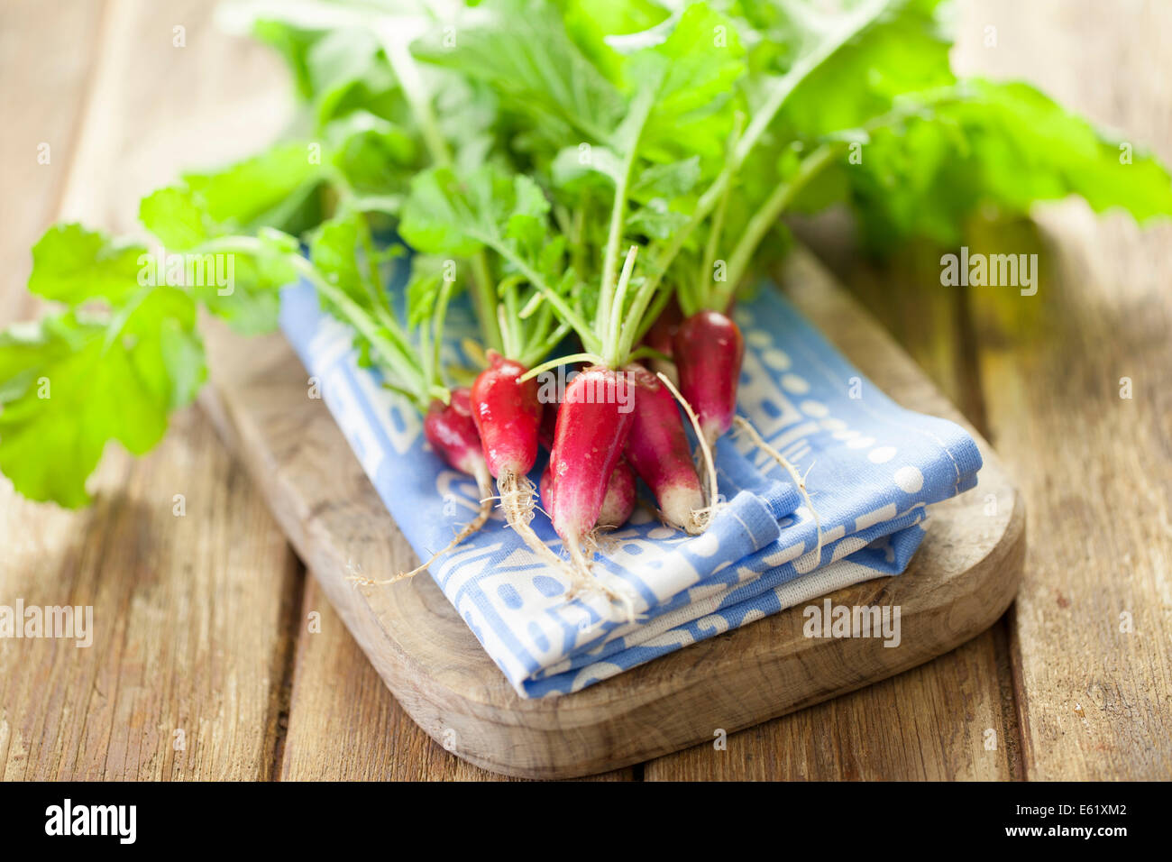 French Breakfast Radishes on Board Stock Photo