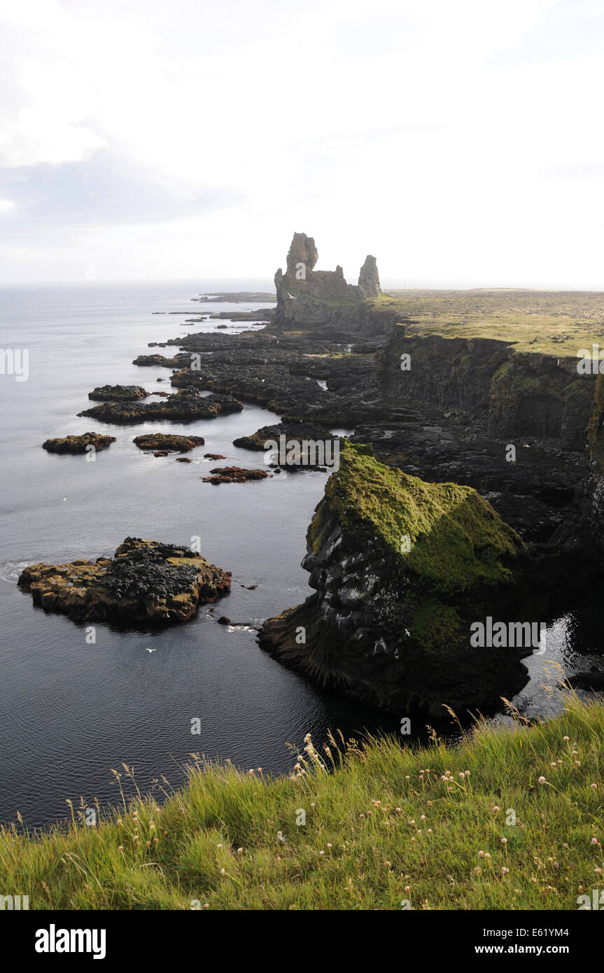 Bird rock at Londrangar on Snaefellsnes Peninsula in Northern Iceland Stock Photo