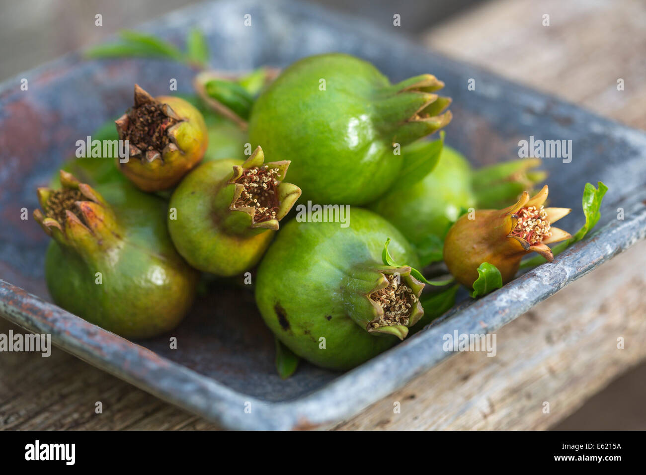 pomegranates in blue ceramic dish on rustic wood table Stock Photo