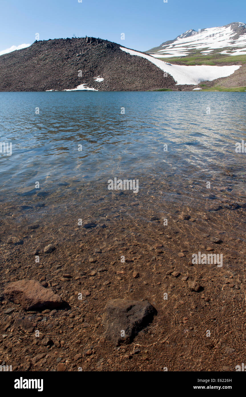 Kari lake hi-res stock photography and images - Alamy